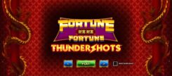 Fortune Fortune Thundershots