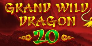 Grand Wild Dragon 20 slot game Logo