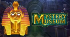Mystery Museum