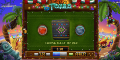 Tequila Fiesta slot game gamble