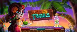 Tequila Fiesta