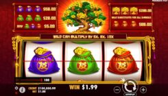 Tree of Riches Slot Game Won