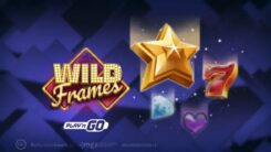 Wild Frames