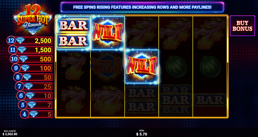 12 Super Hot Diamonds slot game won