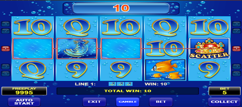 Blue Dolphin slot game won