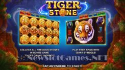 Tiger Stone