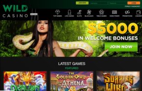 Wild Casino Home Page