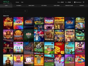 Wild Casino Slots Games