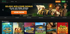 Wild Casino Welcome Bonus