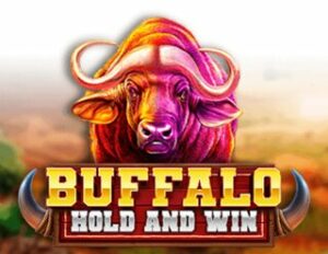 Buffalo Hold and Win slot game logo