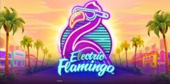Electric Flamingo