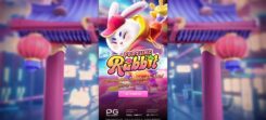 Fortune Rabbit