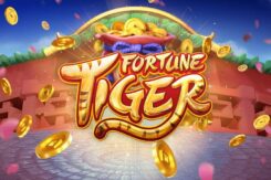 Fortune Tiger