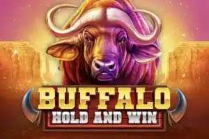 Buffalo Hold and Win Logo