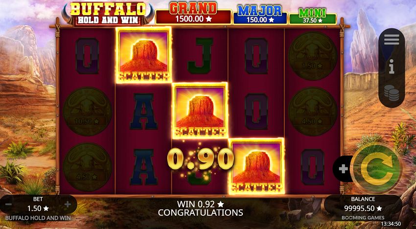 Buffalo Hold and Win slot game win