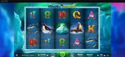 Orca Magic