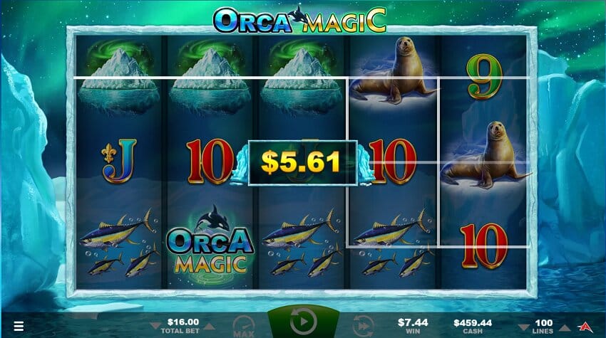 Orca Magic slot game win