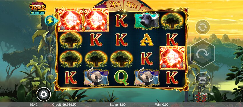 Royal Tiger slot game won