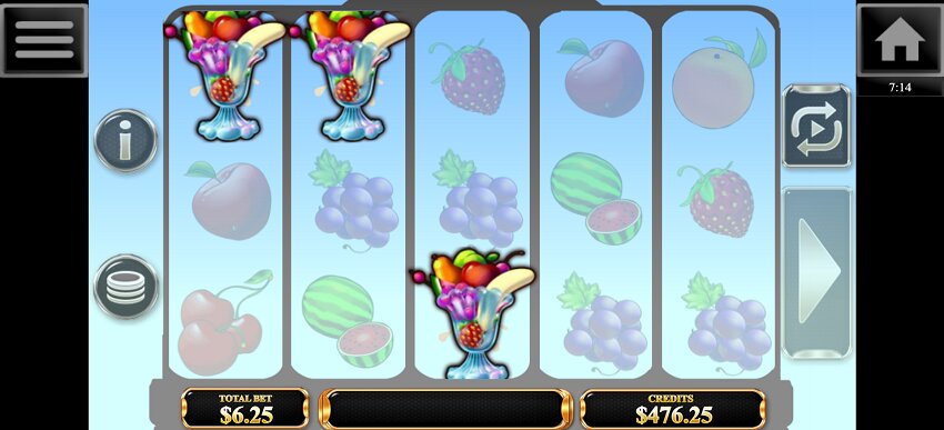 Fruity Fortune Plus slot game won