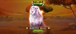Majestic King