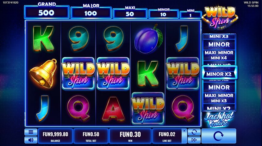 Wild Spinner slot game win