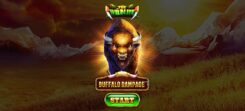 Buffalo Rampage