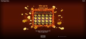 Fruit Super Nova slot game logo